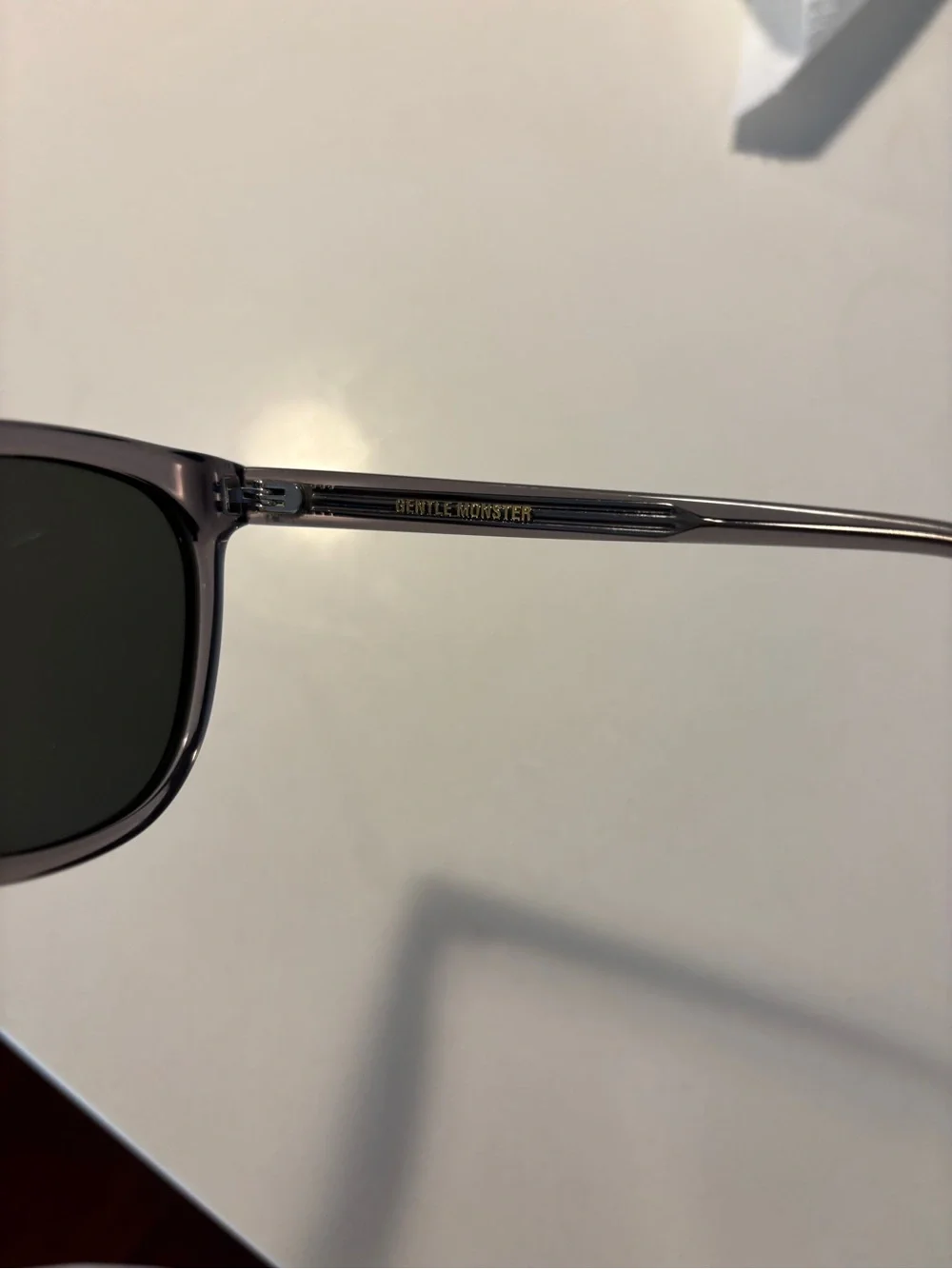 GENTLE MONSTER Tomy Translucent Gray Frame Sunglasses with Dark Lenses